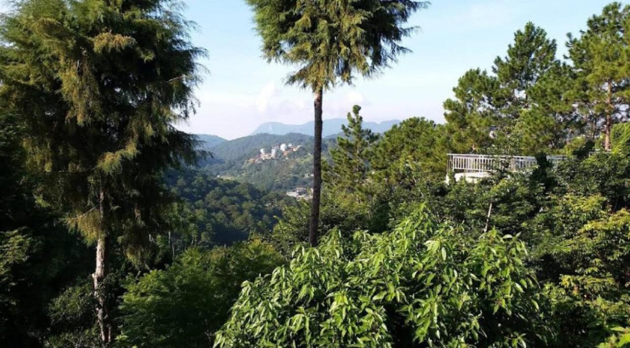 Villa Dieu Thong - Secrect Garden, View San May Va Nui Далат Экстерьер фото