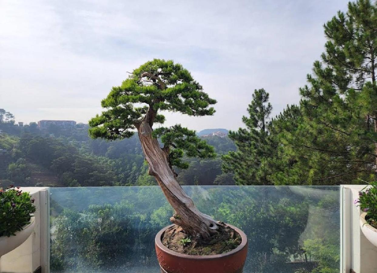 Villa Dieu Thong - Secrect Garden, View San May Va Nui Далат Экстерьер фото
