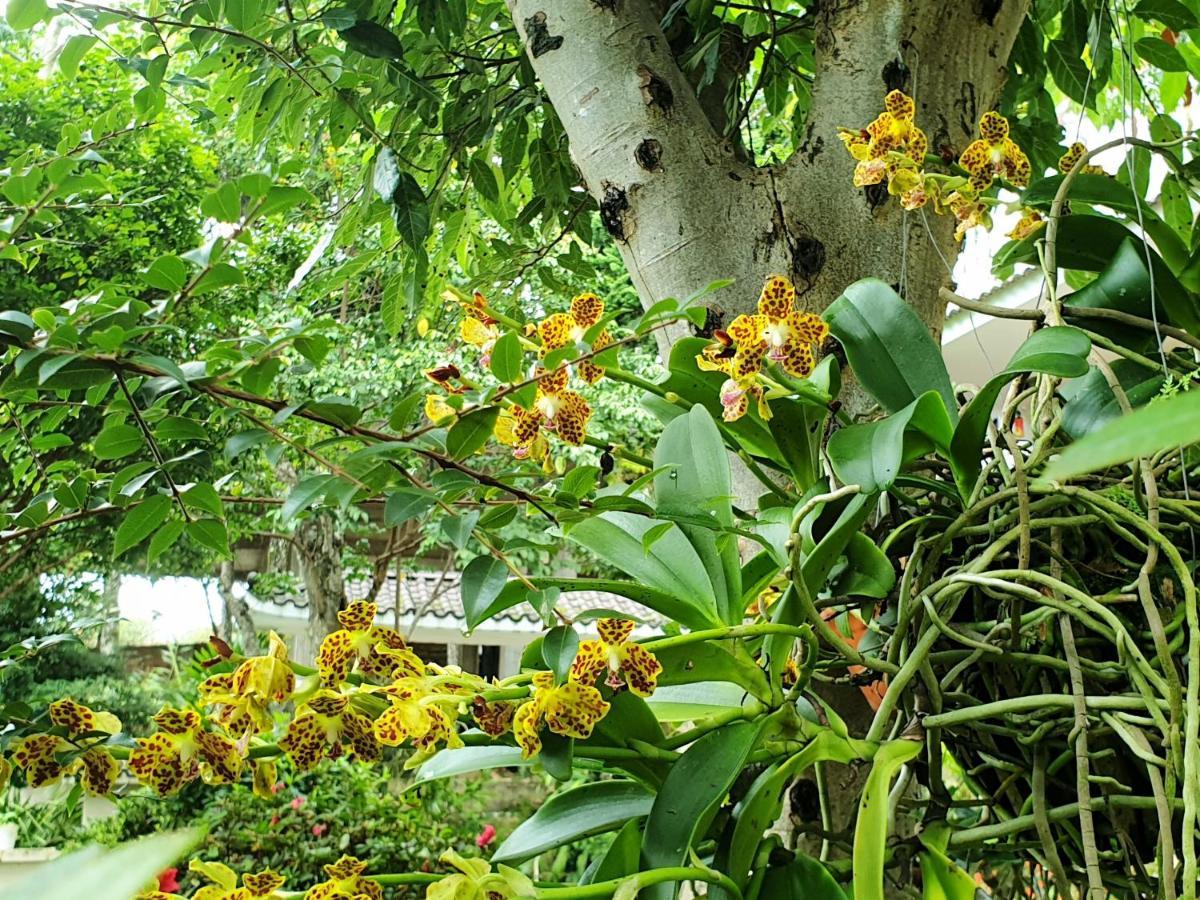 Villa Dieu Thong - Secrect Garden, View San May Va Nui Далат Экстерьер фото
